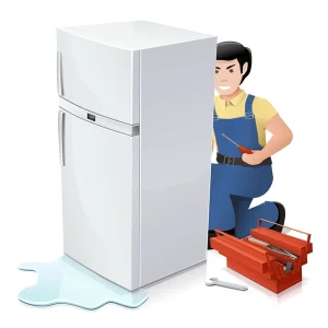Fridge Needs Repair